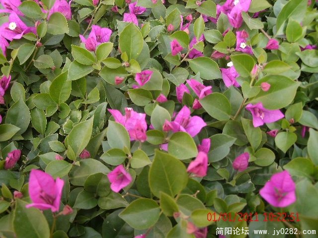 GEDC0669s.jpg