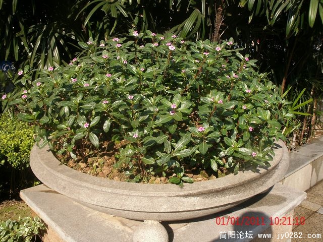 GEDC0666s.jpg
