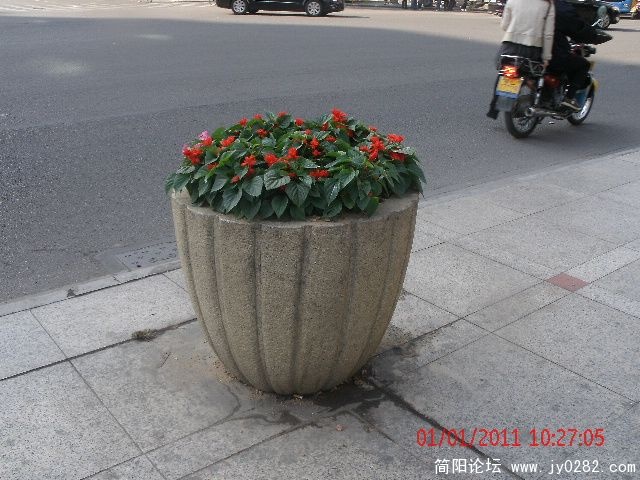 GEDC0673s.jpg
