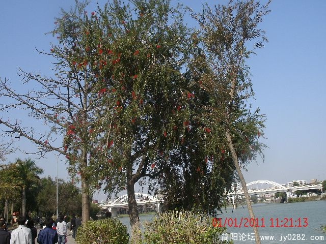 GEDC0707s.jpg