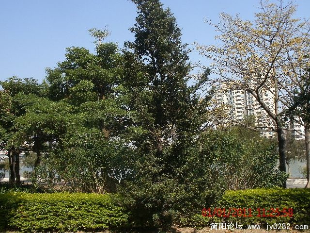 GEDC0709s.jpg