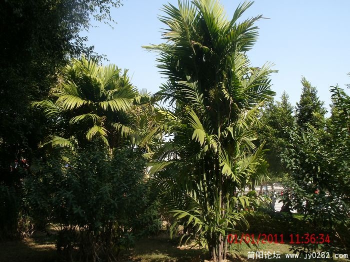 GEDC0720s.jpg
