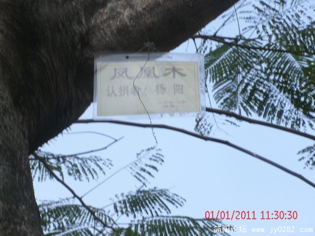 GEDC0714s.jpg