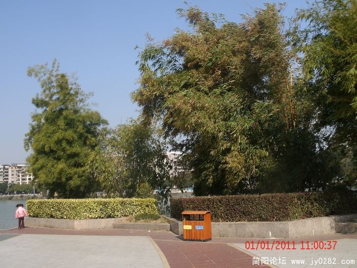 GEDC0699s.jpg