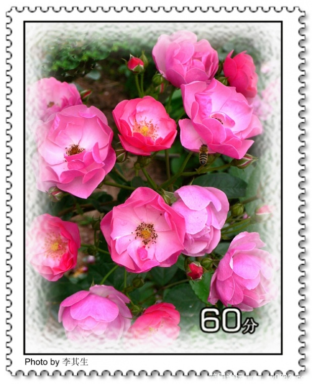 P1160627  拷贝.jpg