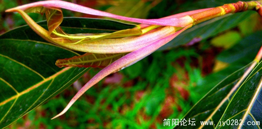 P1160660  拷贝.jpg