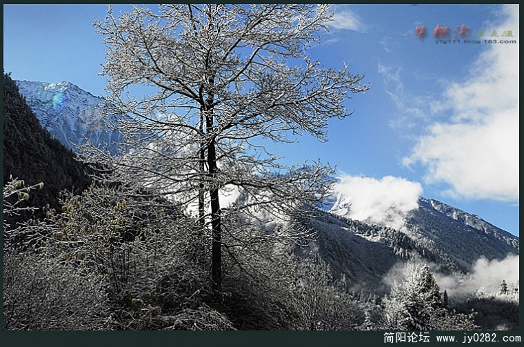 毕棚沟（一）——08副本.jpg
