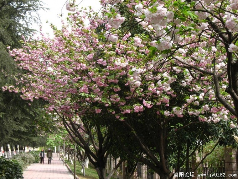 复件 IMG_4343.jpg