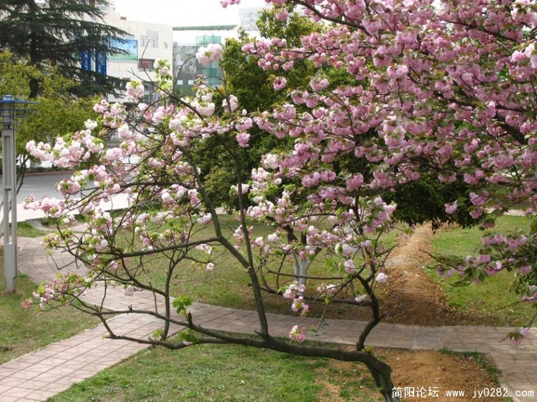 复件 IMG_4358.jpg