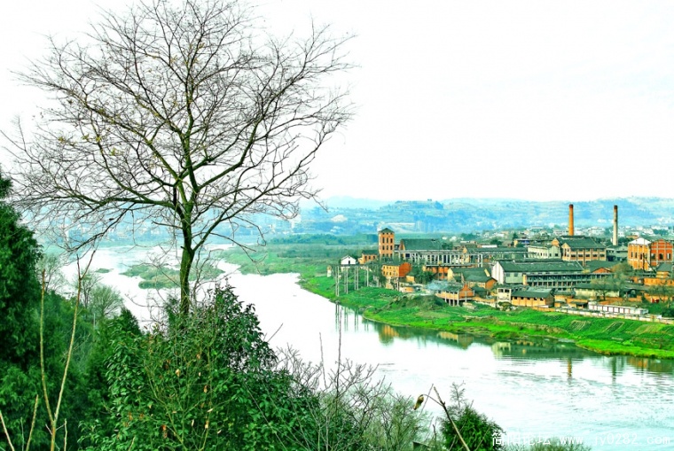 _DSC1393  拷贝.jpg