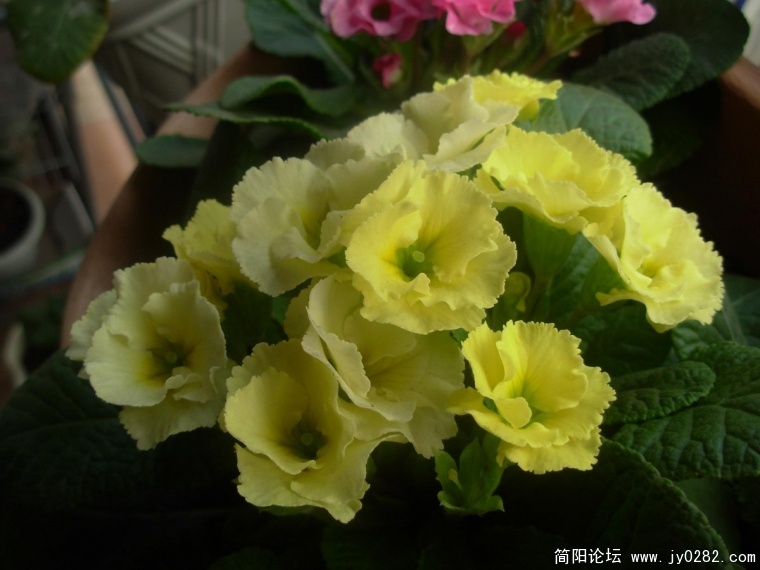 DSCN9567.JPG