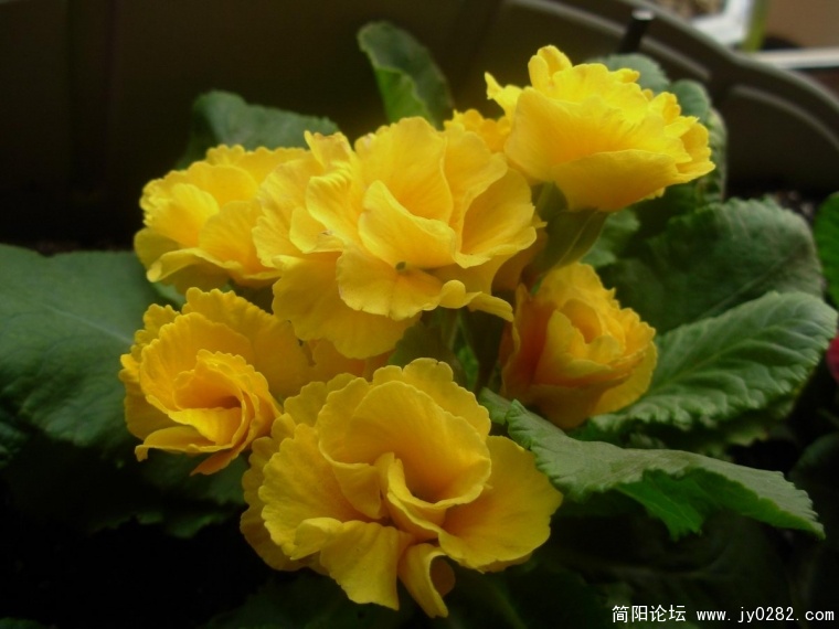 DSCN9564.JPG