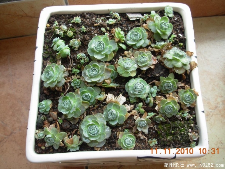 DSCN0308.JPG