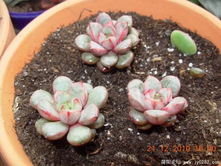 DSCN0400.JPG