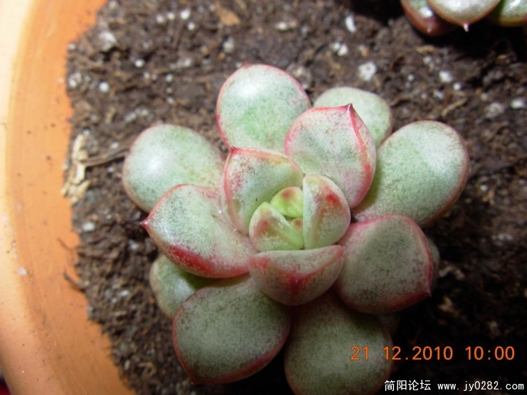 DSCN0401.JPG