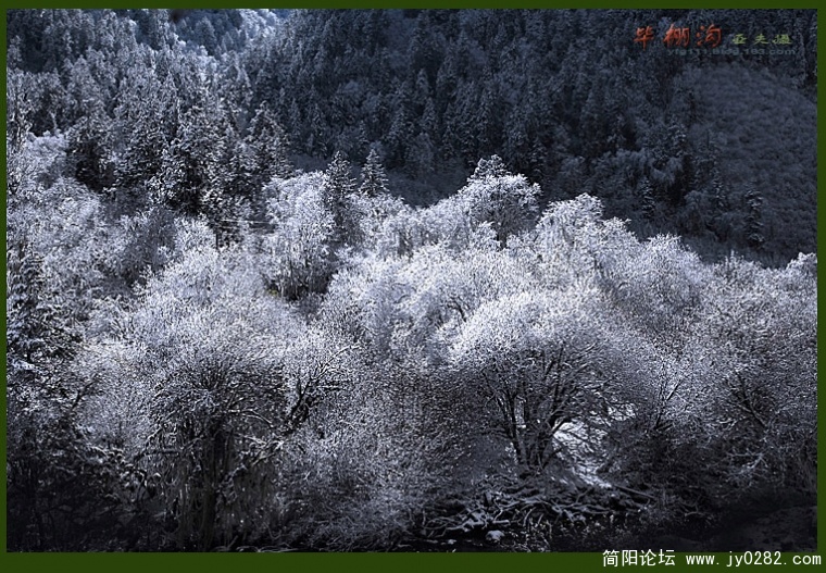 毕棚沟（三）——09副本.jpg