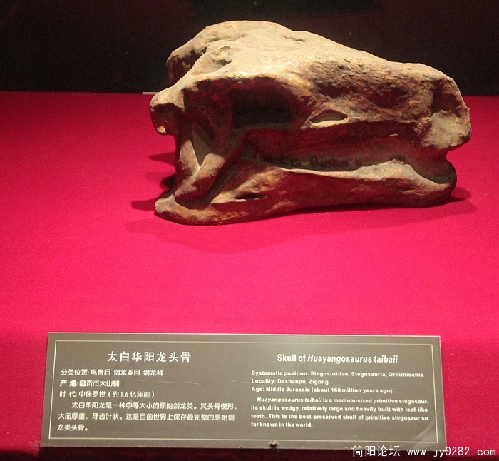 IMG_0459.JPG