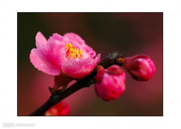 f15ca1d91eec72d077c638cf.jpg