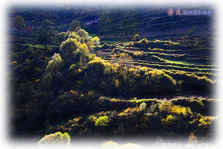 _DSC0979副本.jpg