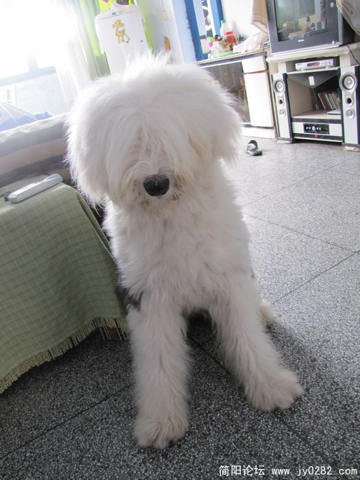 nEO_IMG_IMG_6515.jpg