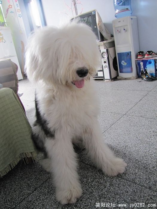 nEO_IMG_IMG_6516.jpg