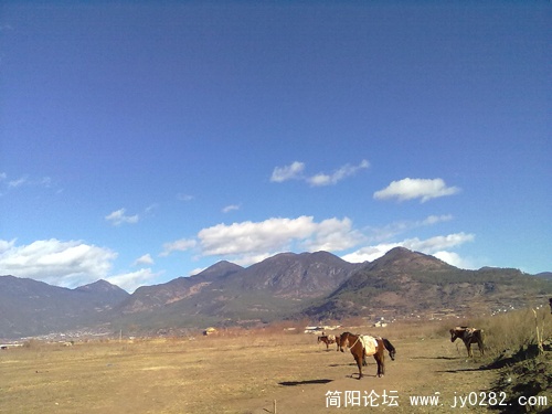 20110110243.jpg