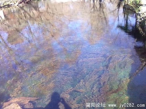 20110112307.jpg