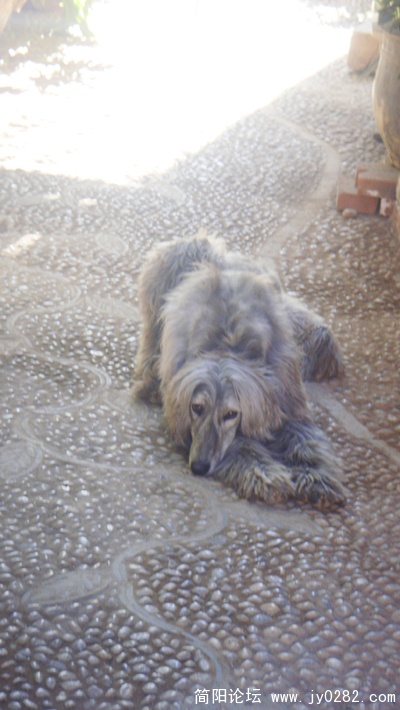 DSC03250.jpg