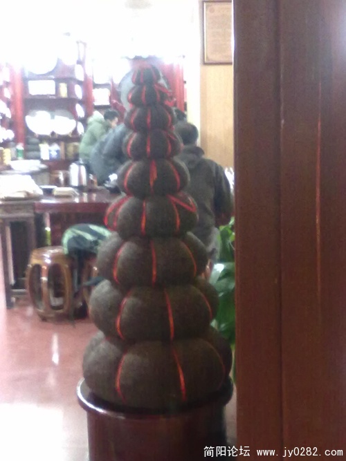 20110110287.jpg