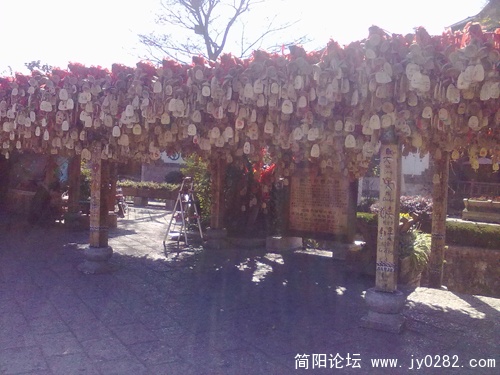 20110113315.jpg