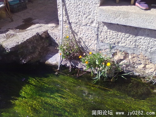 20110110266.jpg