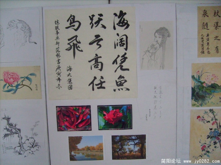 S7303893.JPG