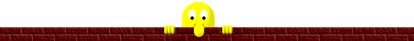 20110117-5.gif