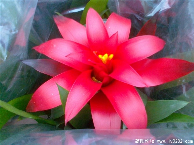 20110114126.jpg
