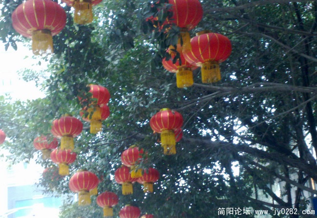 201101188537.jpg