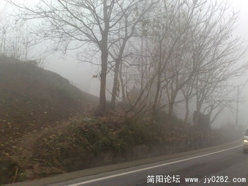 201101208556.jpg
