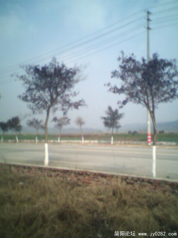 PIC_0910_副本.jpg
