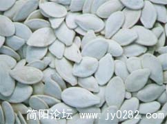 20110121-6.jpg