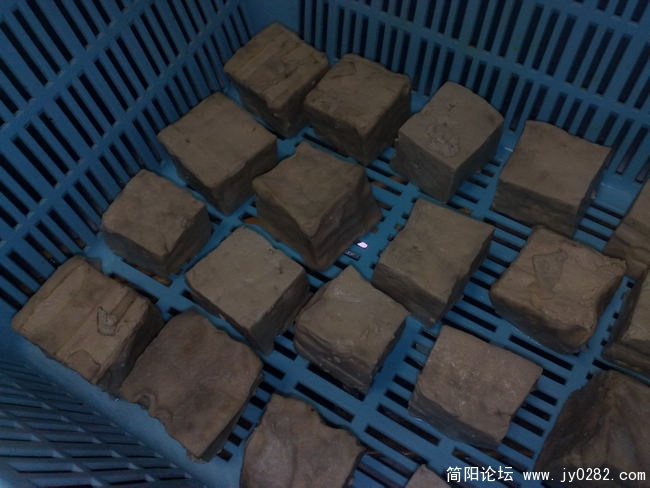 201101218607.jpg