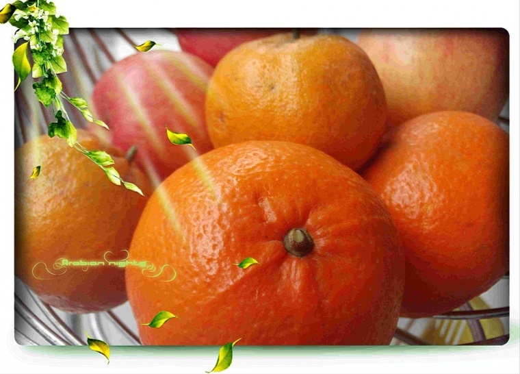 PHOT0019.JPG