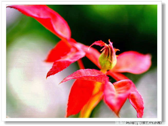 DSC_0147  拷贝.jpg