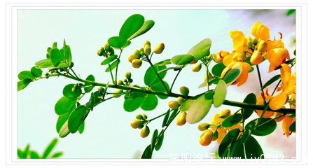 DSC_0201  拷贝.jpg