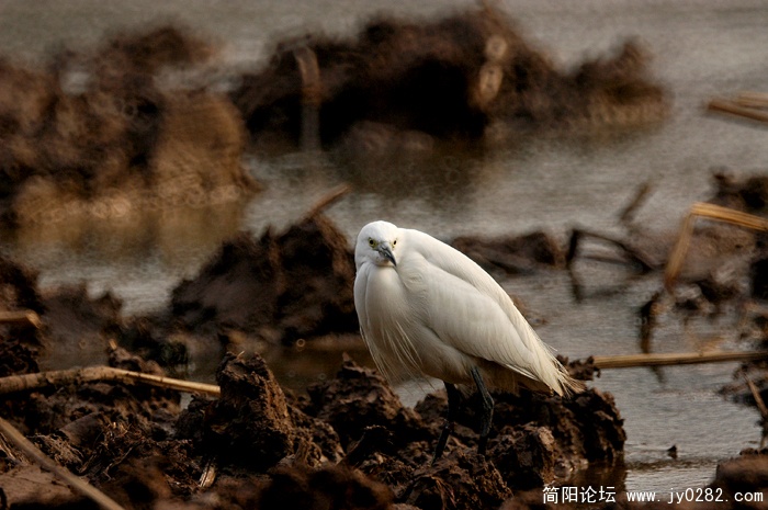 DSC_5706副本.jpg