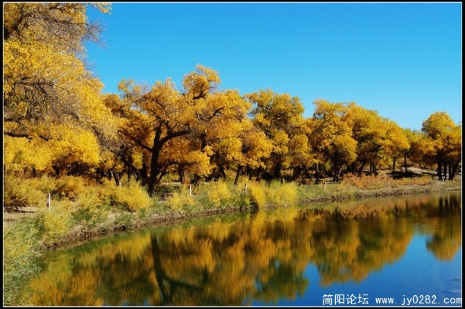 额济纳1.jpg