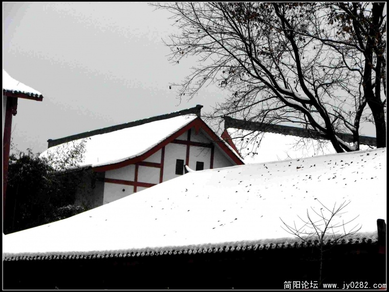 2011.1.28  204.jpg