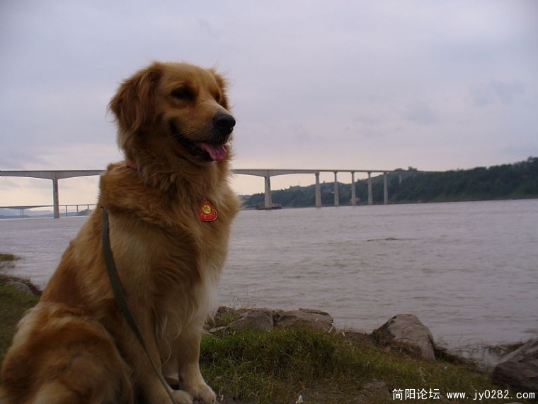 news_20096993850.jpg