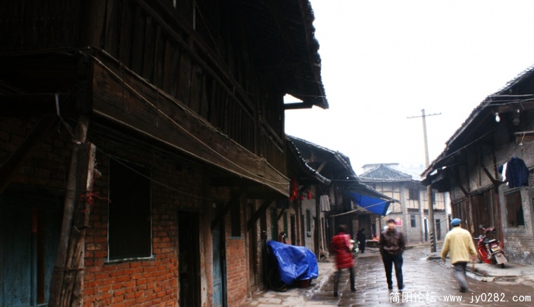 DSC08493-wl.jpg