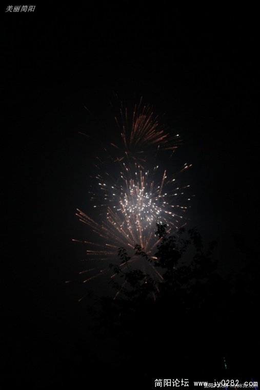11020300333520946.jpg