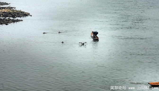 DSC_0214  拷贝.jpg