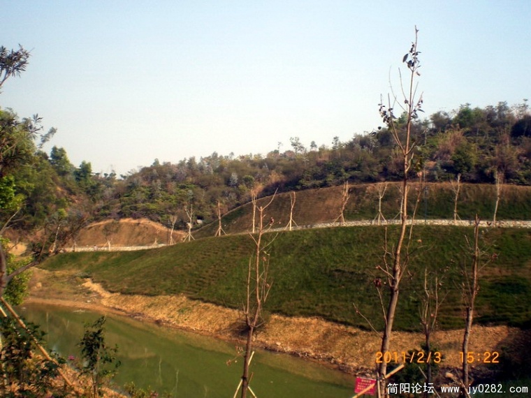 CIMG8603.JPG